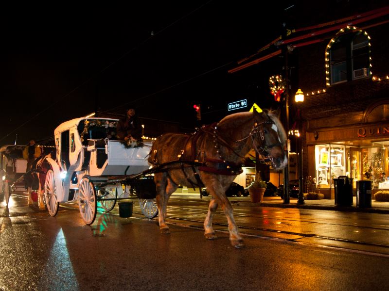 Carriage Rides 