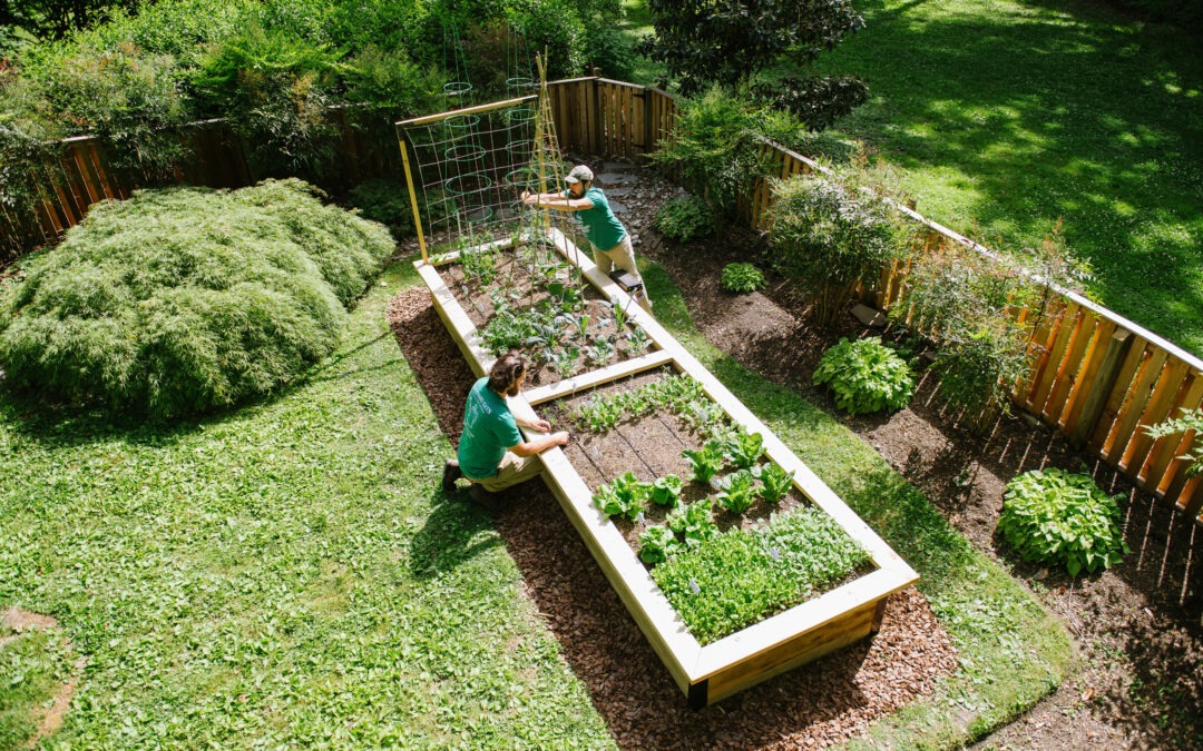Vegetable Gardening For Beginners Workshop